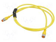Cable: for sensors/automation; M12; PIN: 5; 1.5m; plug; 60VDC; 50VAC LUMBERG AUTOMATION