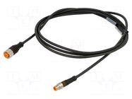 Cable: for sensors/automation; M12,M8; PIN: 3,4; 2m; plug; 60VDC LUMBERG AUTOMATION