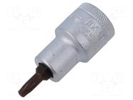 Socket; Torx®; 1/2"; Kind of wrench: socket spanner,Torx®; ITX 19 GEDORE