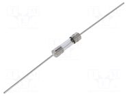 Fuse: fuse; 20A; 250VAC; time-lag; cylindrical,glass; 5.4x22.5mm SCHURTER