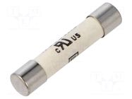 Fuse: fuse; 3.15A; 500VAC; quick blow; ceramic,cylindrical; SHF SCHURTER