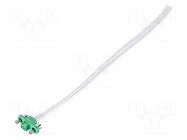 Connector: wire-wire/PCB; plug; female; PIN: 6; Gecko; 2A; 450V; 2x3 HARWIN