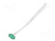 Connector: wire-wire/PCB; plug; female; PIN: 10; Gecko; 2A; 450V HARWIN