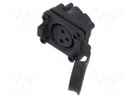 Connector: XLR; socket; female; AXS; 15A; 133V; PIN: 3; IP65; straight AMPHENOL