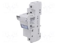 Fuse base; 22x58mm; for DIN rail mounting; 125A; 690VAC; Poles: 1 LOVATO ELECTRIC