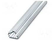 Cover; 300mm; Body: natural PHOENIX CONTACT