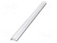 Cover; L: 18.1mm; W: 53.3mm; H: 1000mm; Body: natural PHOENIX CONTACT