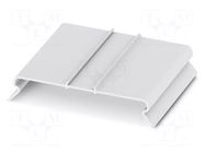 Cover; L: 10.5mm; W: 54.5mm; H: 1000mm; Body: natural PHOENIX CONTACT