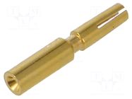 Contact; female; 1.5mm; M17; gold-plated; 0.25÷0.5mm2; crimped HARTING