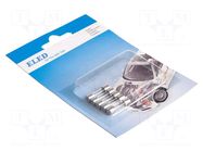 Fuse: fuse; 2A,3.15A,6.13A; automotive,glass; 5x20mm ELED