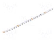 LED tape; white cold; 2216; LED/m: 120; 8mm; white PCB; IP20; 120° KGP ELECTRONICS