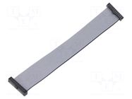 Ribbon cable with IDC connectors; IDC,both sides; Tape ph: 1mm SAMTEC