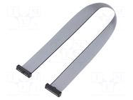 Ribbon cable with IDC connectors; IDC,both sides; Tape ph: 1mm SAMTEC