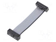 Ribbon cable with IDC connectors; IDC,both sides; Tape ph: 1mm SAMTEC