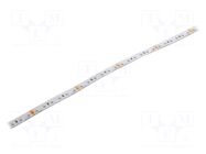 LED tape; white cold; 2216; LED/m: 120; 8mm; white PCB; IP20; 120° KGP ELECTRONICS