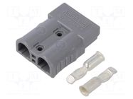 Connector: DC supply; plug; hermaphrodite; AXC50; 600V; PIN: 2; grey AMPHENOL