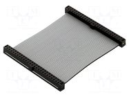 Ribbon cable with IDC connectors; IDC,both sides; Tape ph: 1mm SAMTEC