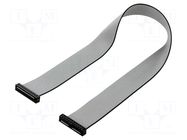 Ribbon cable with IDC connectors; IDC,both sides; Tape ph: 1mm SAMTEC