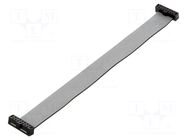 Ribbon cable with IDC connectors; IDC,both sides; Tape ph: 1mm SAMTEC