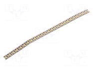 LED tape; white cold; 2835; LED/m: 120; 10mm; white PCB; IP20; 120° KGP ELECTRONICS