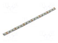 LED tape; white cold; 2216; LED/m: 240; 8mm; white PCB; IP20; 120° KGP ELECTRONICS