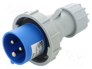 Connector: AC supply; plug; male; 16A; 230V; IEC 60309; IP67; PIN: 3 TAIZHOU BAOLUDA ELECTRIC