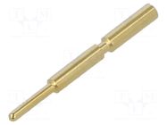 Contact; male; 1mm; M17; gold-plated; 0.08÷0.14mm2; crimped HARTING