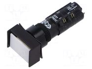 Switch: push-button; DPDT; 4A/250VAC; ON-(ON); IP65; Illumin: LED RAFI