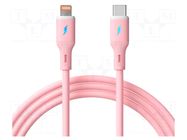 Cable; USB 2.0; Apple Lightning plug,USB C plug; nickel plated AKYGA