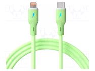 Cable; USB 2.0; Apple Lightning plug,USB C plug; nickel plated AKYGA