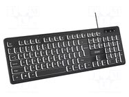 Keyboard; black; USB A; wired,slim,US layout; PnP,with LED; 1.4m SAVIO