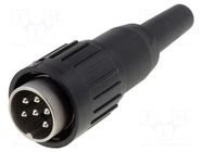 Connector: DIN; plug; male; C091B; PIN: 6; straight; for cable; 300V AMPHENOL