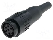 Connector: DIN; plug; female; C091B; PIN: 6; straight; for cable AMPHENOL