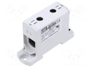 Splice terminal: distribution block; for DIN rail mounting MOREK