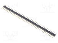 Pin header; pin strips; male; PIN: 40; straight; 2mm; THT; 1x40 ADAM TECH