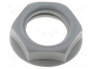 Nut; grey; S2 CLIFF