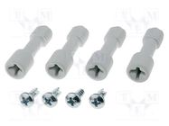 Set of screws; PICCOLO; for ABS-F enclosure FIBOX