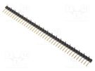 Pin header; pin strips; male; PIN: 40; vertical; 2mm; SMT; 1x40 ADAM TECH