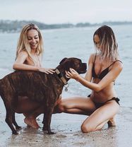 Apple AirTag Silicone Case for Dog or Cat Collar - Black, Hurtel