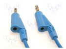 Test lead; 60VDC; 20A; banana plug 4mm,both sides; Len: 1m; blue 