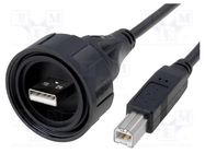 Cable; USB Buccaneer; USB A plug,USB B plug; IP68; 3m BULGIN