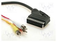 Cable; RCA plug x3,SCART plug; 3m 