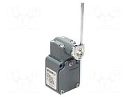 Limit switch; adjustable plunger, length R 19-116mm; NO + NC PIZZATO ELETTRICA