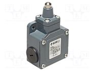 Limit switch; pin plunger Ø10mm; NO + NC; 10A; max.500VAC; PG13,5 PIZZATO ELETTRICA