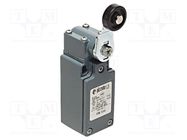 Limit switch; lever R 40mm, plastic roller Ø20mm; NO + NC; 10A PIZZATO ELETTRICA