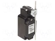 Limit switch; adjustable plunger, length R 19-116mm; NO + NC PIZZATO ELETTRICA
