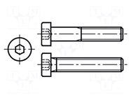 Screw; M3x5; 0.5; Head: cheese head; hex key; HEX 2mm; steel; zinc BOSSARD