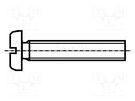 Screw; M6x40; 1; Head: cheese head; slotted; polyamide; DIN 85A BOSSARD