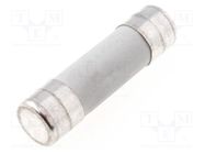 Fuse: fuse; gG; 1A; 500VAC; ceramic,cylindrical,industrial DF ELECTRIC