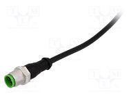 Connection lead; M12; PIN: 3; straight; 5m; plug; 250VAC; 4A; PVC MURR ELEKTRONIK
